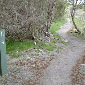 Murray Lagoon - Timber Creek Hike