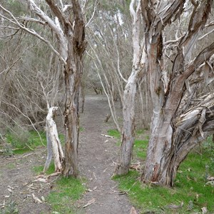 Murray Lagoon - Timber Creek Hike