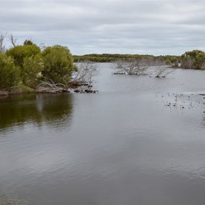 Murray Lagoon - Timber Creek Hike