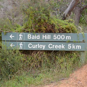 Bald Hill Hike