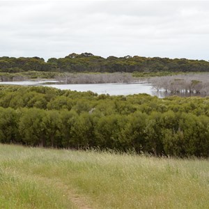 Bald Hill