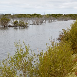 Tea Tree Lagoon