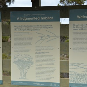 Beyeria Conservation Park Walk