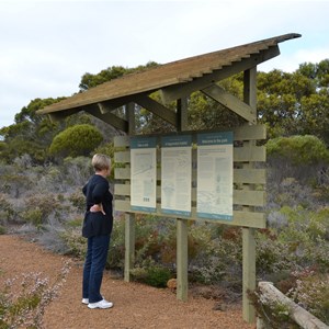 Beyeria Conservation Park Walk