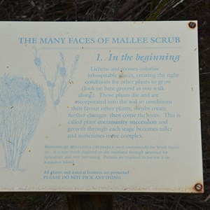 Beyeria Conservation Park Walk - Stop 1