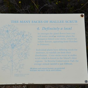 Beyeria Conservation Park Walk - Stop 4