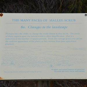 Beyeria Conservation Park Walk - Stop 6a 