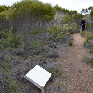 Beyeria Conservation Park Walk - Stop 6a 