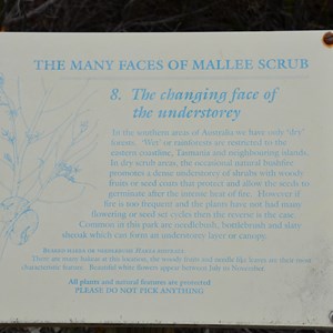 Beyeria Conservation Park Walk - Stop 8 