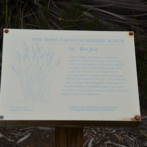 Beyeria Conservation Park Walk - Stop 10