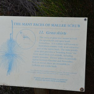 Beyeria Conservation Park Walk - Stop 11