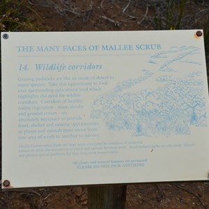 Beyeria Conservation Park Walk - Stop 14