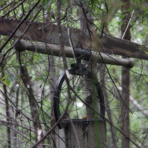 One of the art pieces in the trees