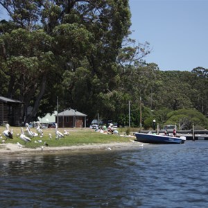 View from water looking back at boat ramp outside caravan park