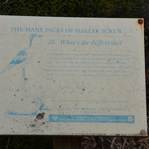 Beyeria Conservation Park Walk - Stop 20