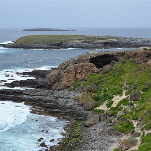 Cape de Couedic New Zealand Fur Seal Lookout