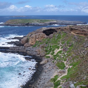 Cape de Couedic New Zealand Fur Seal Lookout