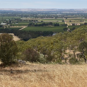 Mengler Hill Lookout