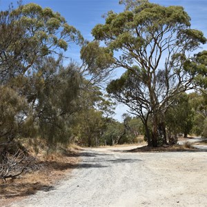 Mengler Hill Lookout