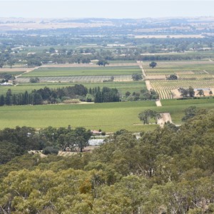 Mengler Hill Lookout