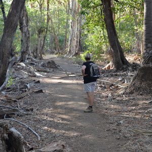 Start of Island Stack & Lower Gorge Walk