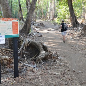 Start of Island Stack & Lower Gorge Walk