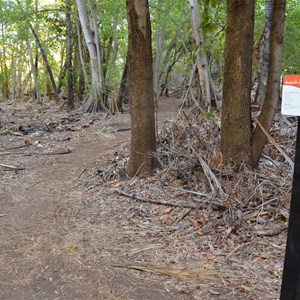 Island Stack & Lower Gorge Track Junction