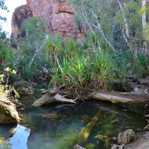 Cascades - Island Stack Walk