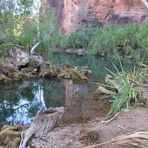 Cascades - Island Stack Walk