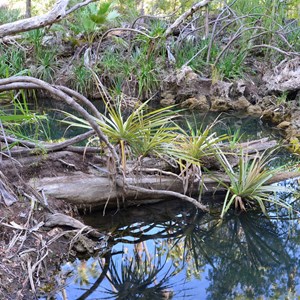 Cascades - Island Stack Walk