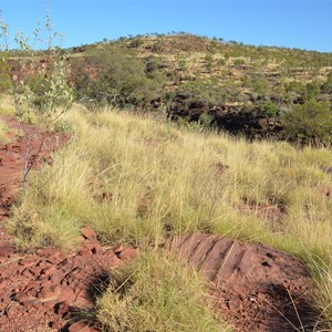 Island Stack Track 