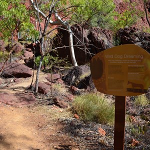 Wild Dog Dreaming - Lower Gorge Walk