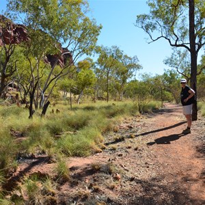 Wild Dog Dreaming - Lower Gorge Walk