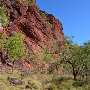 Wild Dog Dreaming - Lower Gorge Walk