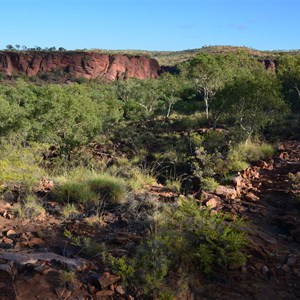 Constance Range Walk 