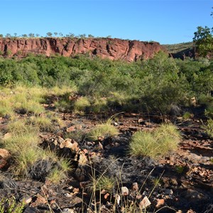 Constance Range Walk