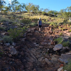 Constance Range Walk