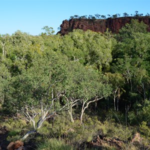 Constance Range Walk