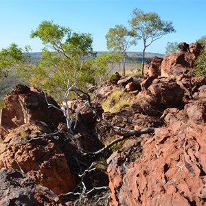 Constance Range Walk