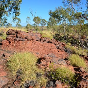 Constance Range Walk