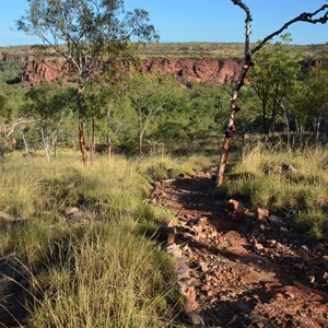 Constance Range Walk