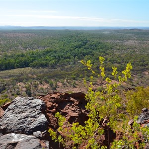 Constance Range Seat and Lookout