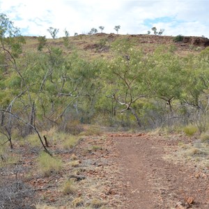 Upper Gorge Walk Track 