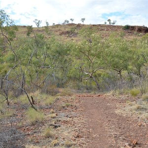 Upper Gorge Walk Track 