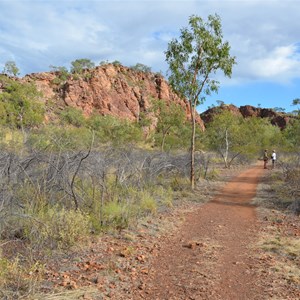 Upper Gorge Walk Track 