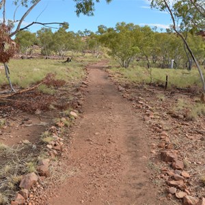 Upper Gorge Walk Track Junction Sign