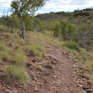 Upper Gorge Walk Track