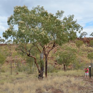 Upper Gorge Walk Track Sign