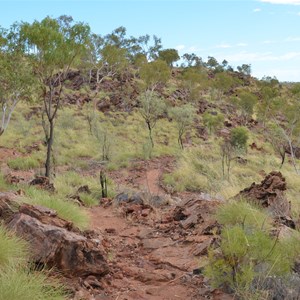 Upper Gorge Walk Track