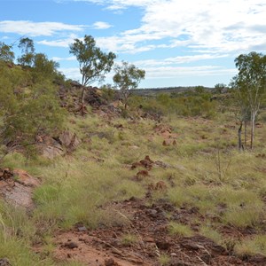 Upper Gorge Walk Track